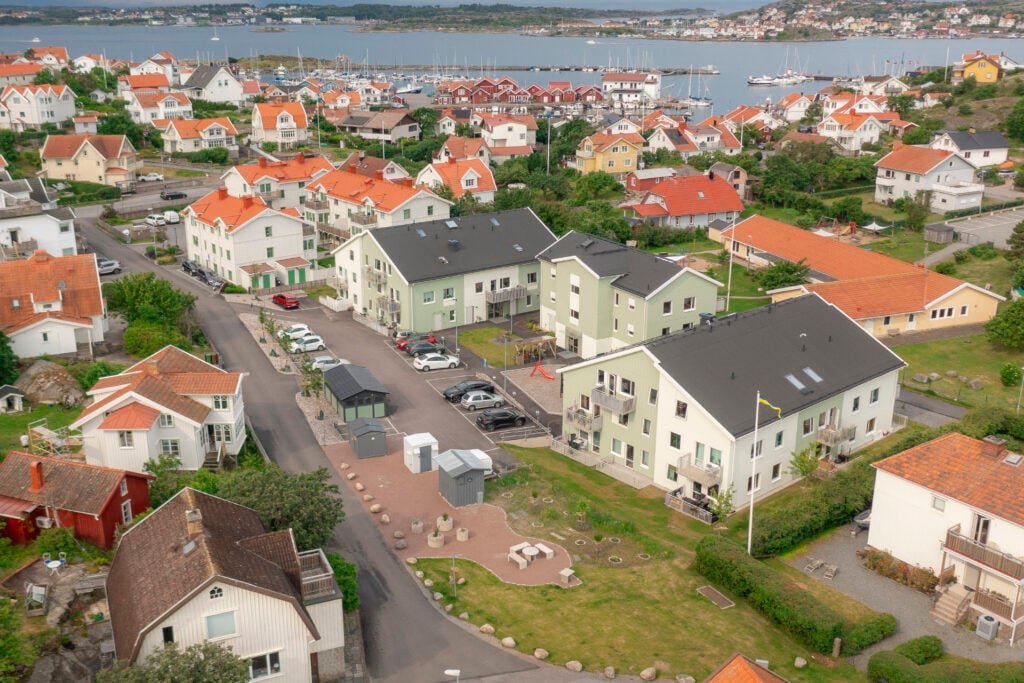 Björkdungen